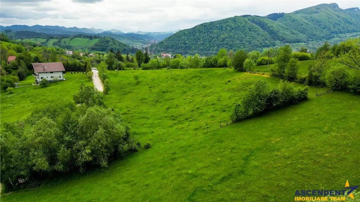 Film! Domeniu pe 11.000mp intravilan, panorama montana,Bran,Sohodol - foto 11