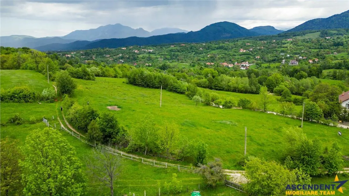 Film! Domeniu pe 11.000mp intravilan, panorama montana,Bran,Sohodol - foto 13