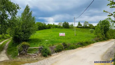 Film! Domeniu pe 11.000mp intravilan, panorama montana,Bran,Sohodol - foto 6