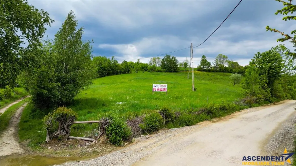 Film! Domeniu pe 11.000mp intravilan, panorama montana,Bran,Sohodol - foto 6