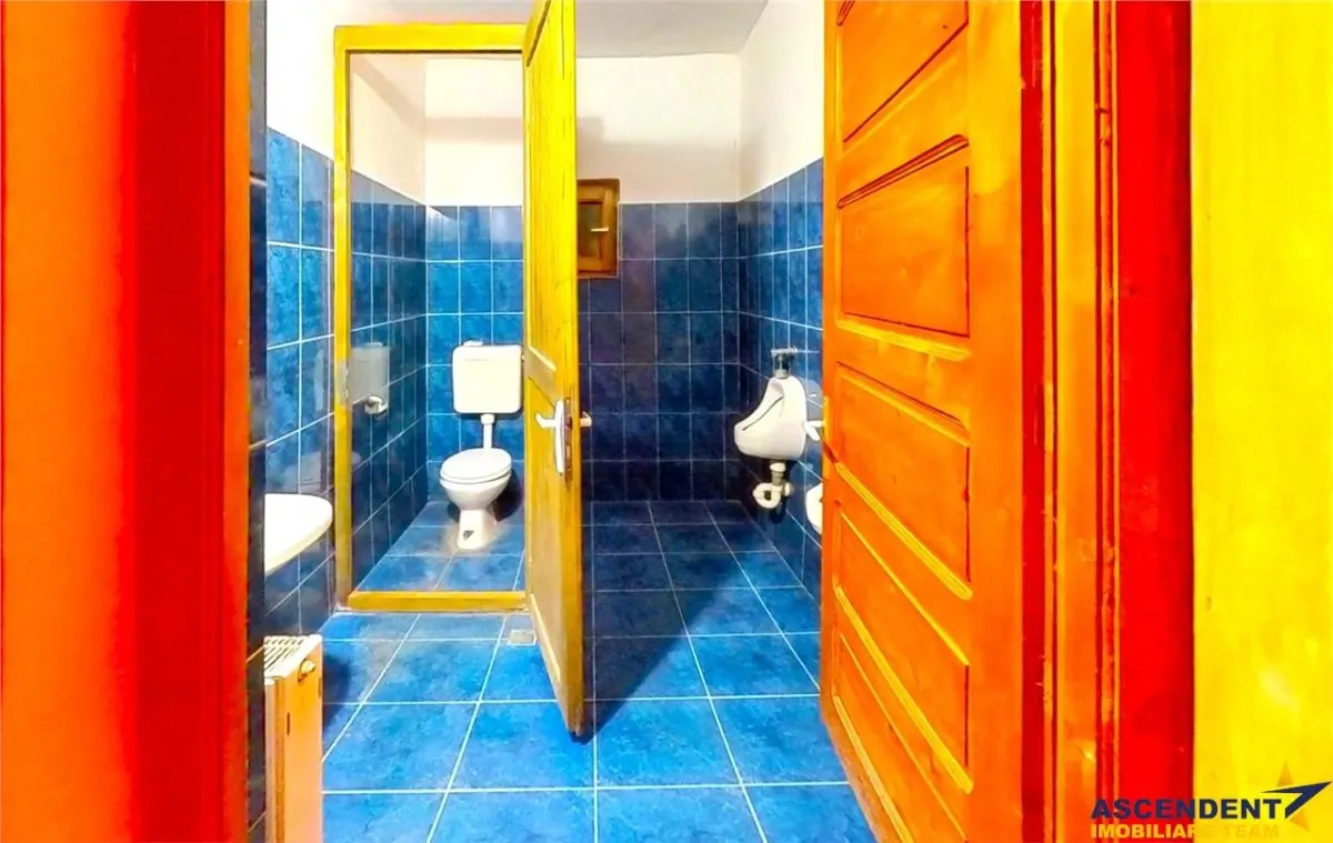 Tur 3D! Proprietate versatila:rezidential/ comercial/investitional,Bereni,Mures - foto 12