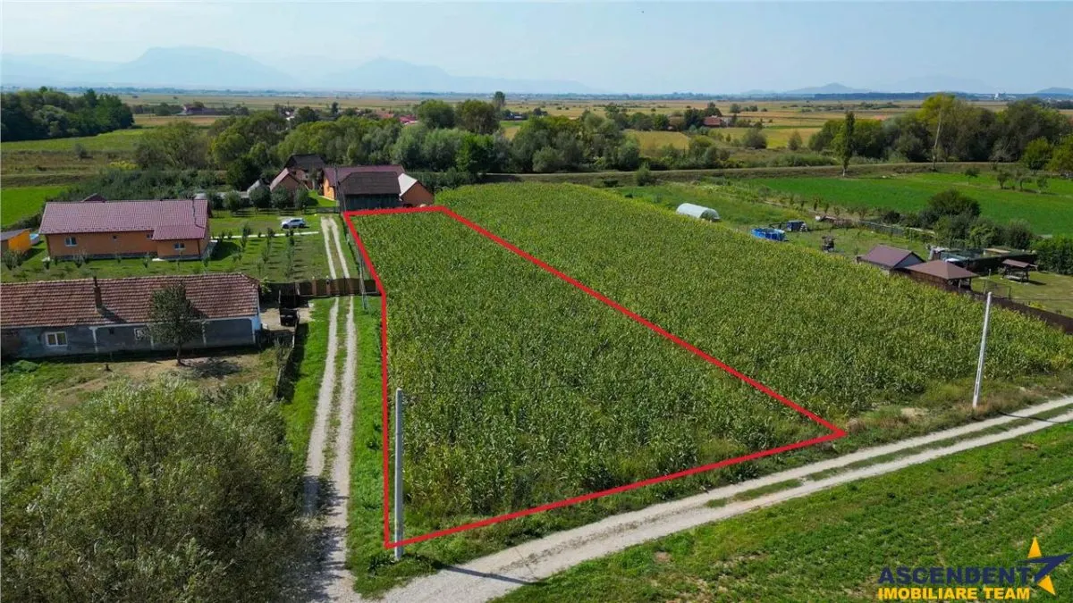 Teren intravilan, pe 2.000mp, Bacel, Covasna - foto 4