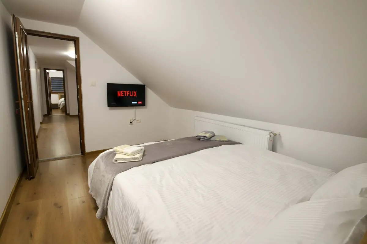 Cabana Ibanesti, locatie superba, Jacuzzi, 6 camere, - foto 13