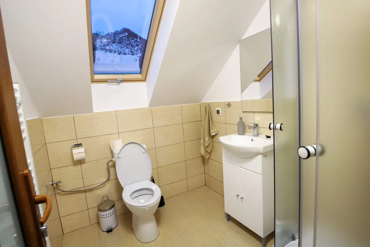 Cabana Ibanesti, locatie superba, Jacuzzi, 6 camere, - foto 14
