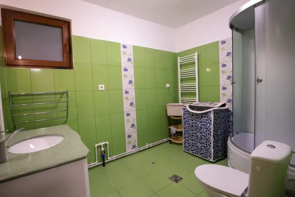 Casă 6 camere Ibanesti - poza 17