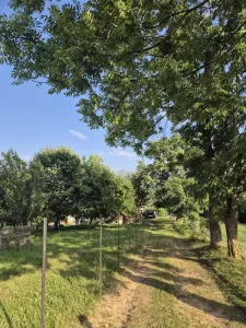 Pestera, Brasov - foto 5