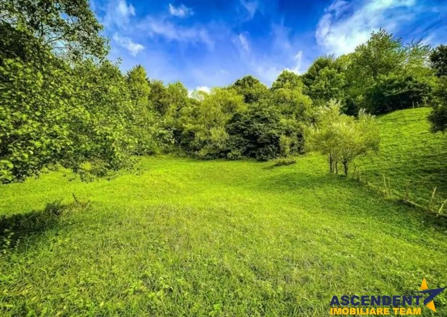 MoieciuBrasov - foto 2