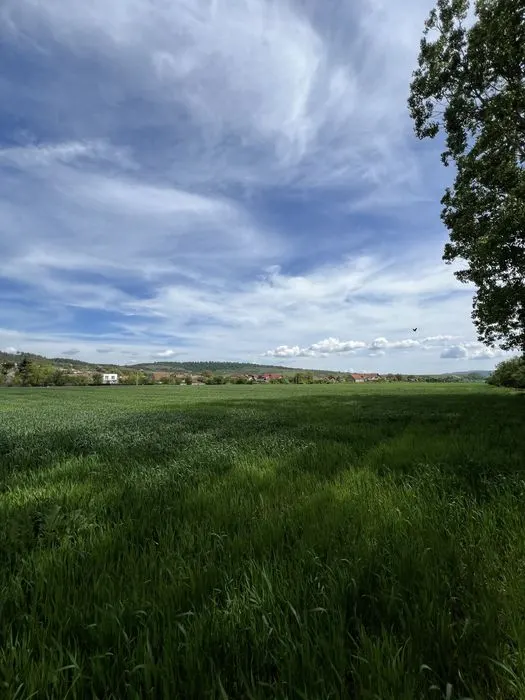 Cu PUZ, Tohanu Nou, Brasov - foto 1