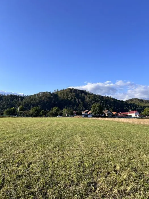 Cu PUZ, Tohanu Nou, Brasov - foto 2