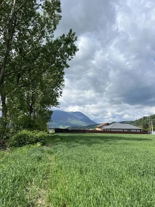 Cu PUZ, Tohanu Nou, Brasov - foto 4