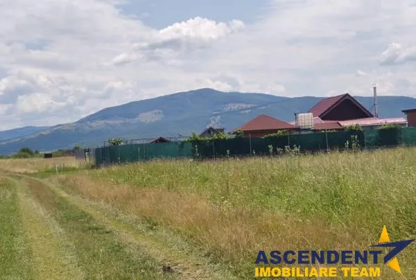 Cu PUZ, Prejmer, Brasov - foto 1