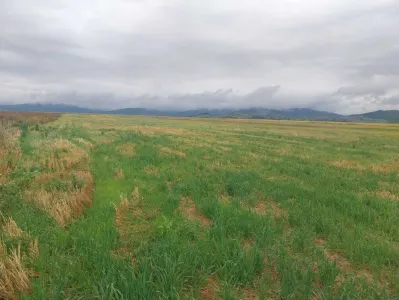 33.100mp, Tarlungeni, Brasov - foto 4