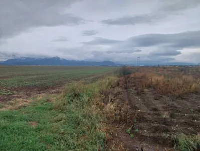33.100mp, Tarlungeni, Brasov - foto 6