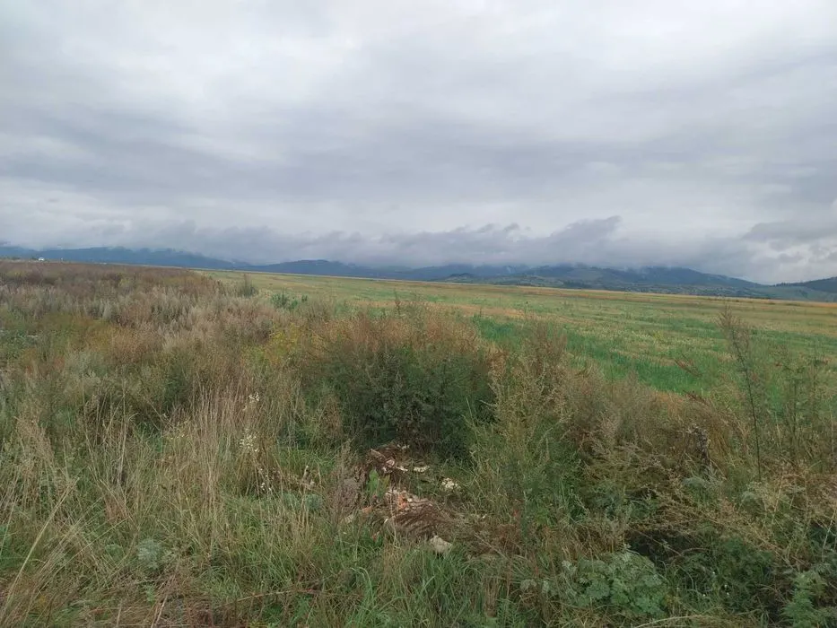 33.100mp, Tarlungeni, Brasov - foto 8