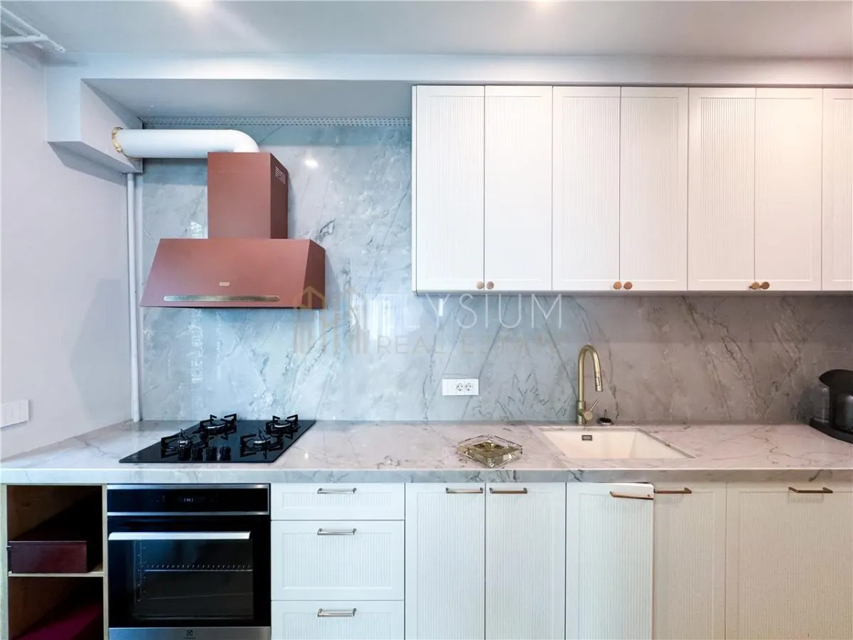 Apartament 3 camere de vanzare Gradina Icoanei - foto 10