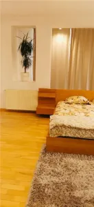 INCHIRIERE APARTAMENT 5 CAMERE DUPLEX ZONA NICOLAE CARAMFIL HERASTRAU SECTOR 1 - foto 13