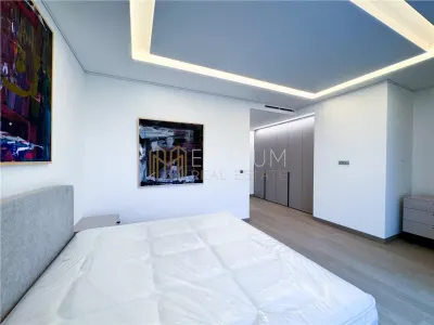 Apartament de inchiriat 4 camere Kiseleff - foto 20