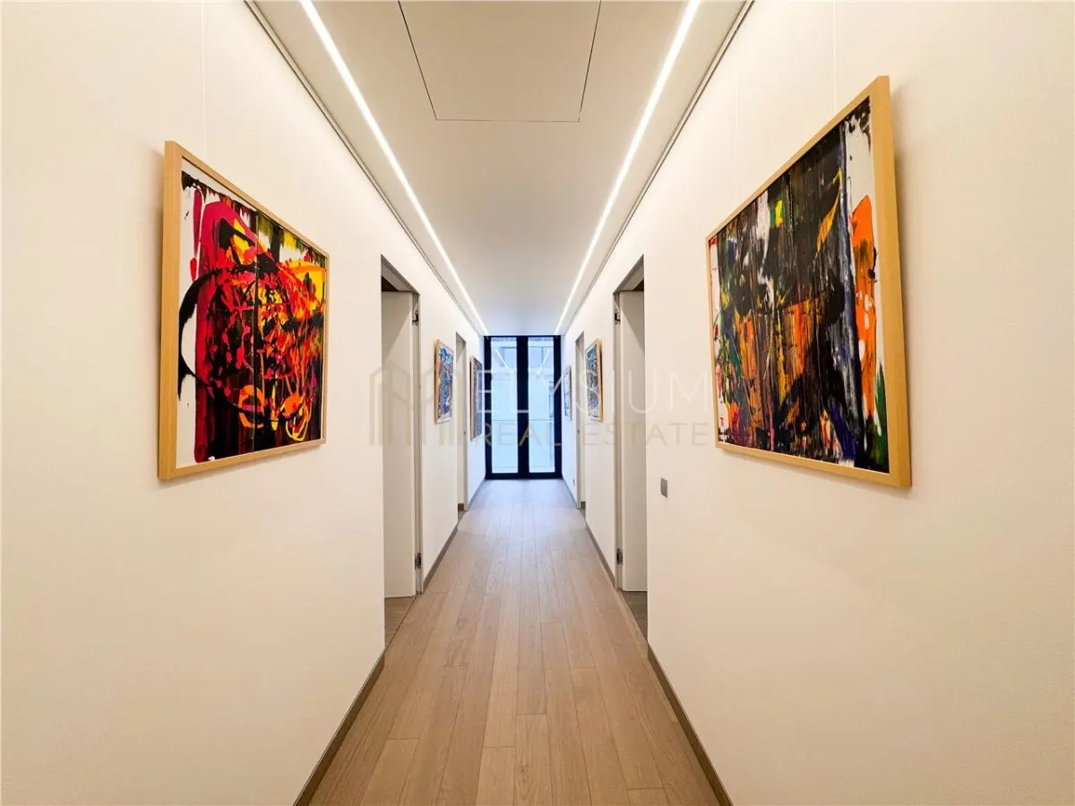 Apartament de inchiriat 5 camere Kiseleff - foto 18