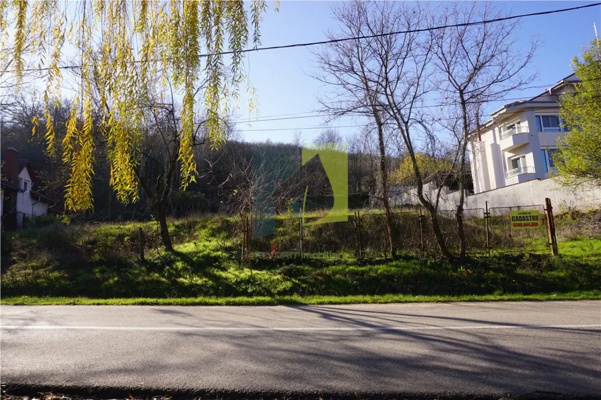 Teren de vanzare in Leamna de Jos - foto 7