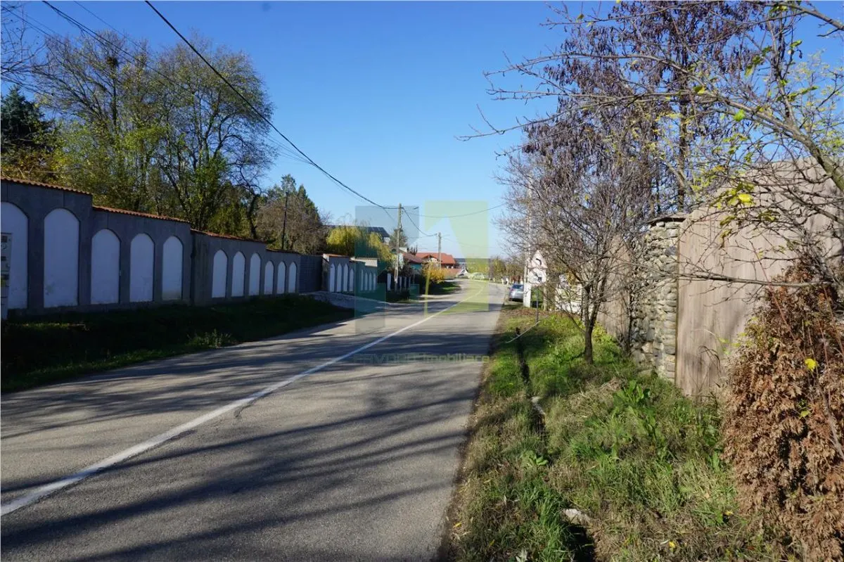 Teren de vanzare in Leamna de Jos - foto 10