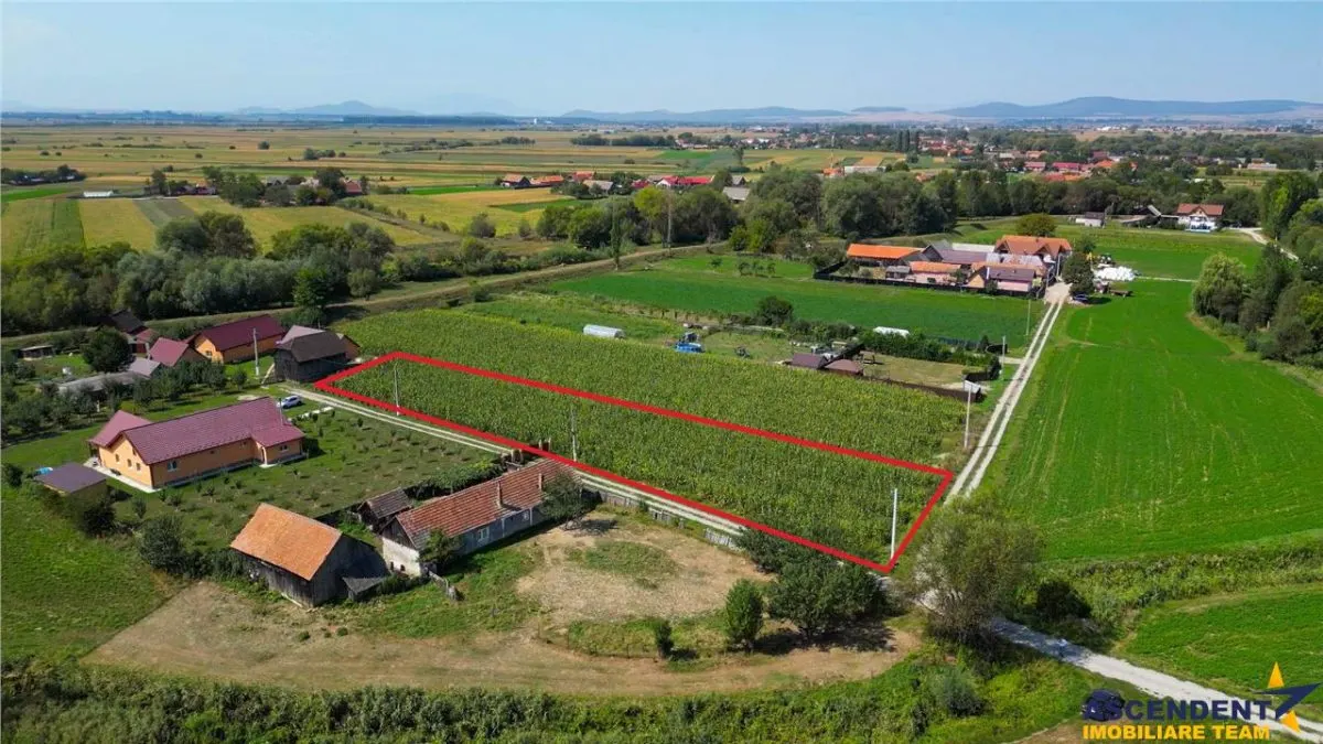 2.000mp intravilan, Bacel, zona linistita, intre Brasov si Sfantu Gheorghe,acces facil - foto 1