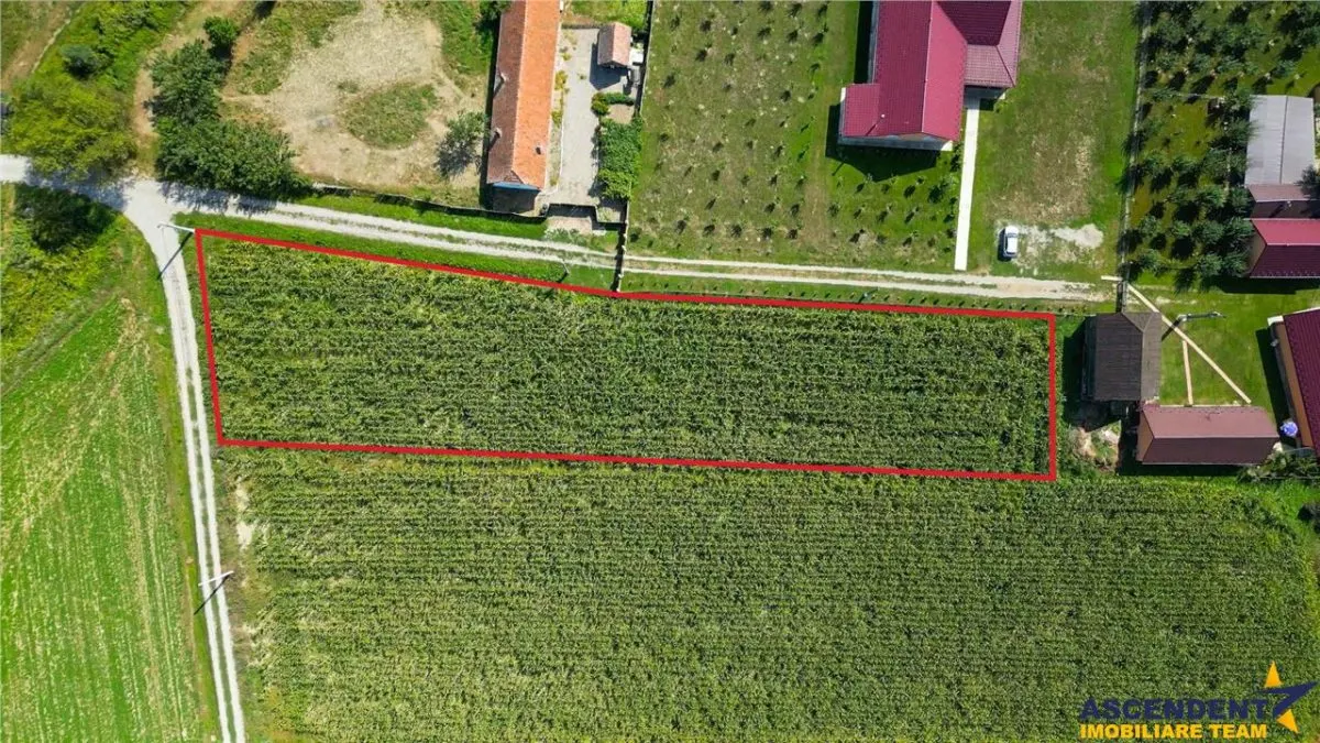 2.000mp intravilan, Bacel, zona linistita, intre Brasov si Sfantu Gheorghe,acces facil - foto 5
