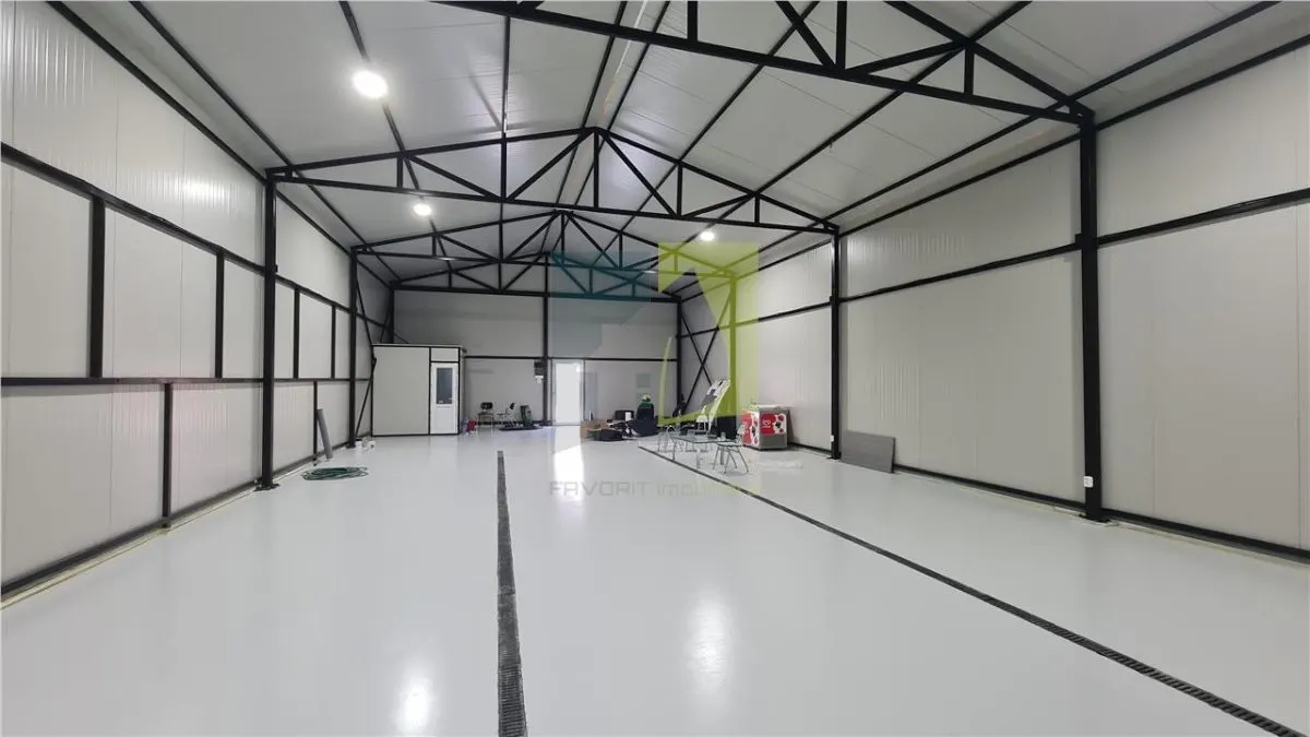 Proprietate industriala Podari – 2 hale (344 mp) + teren 2.515 mp - foto 8