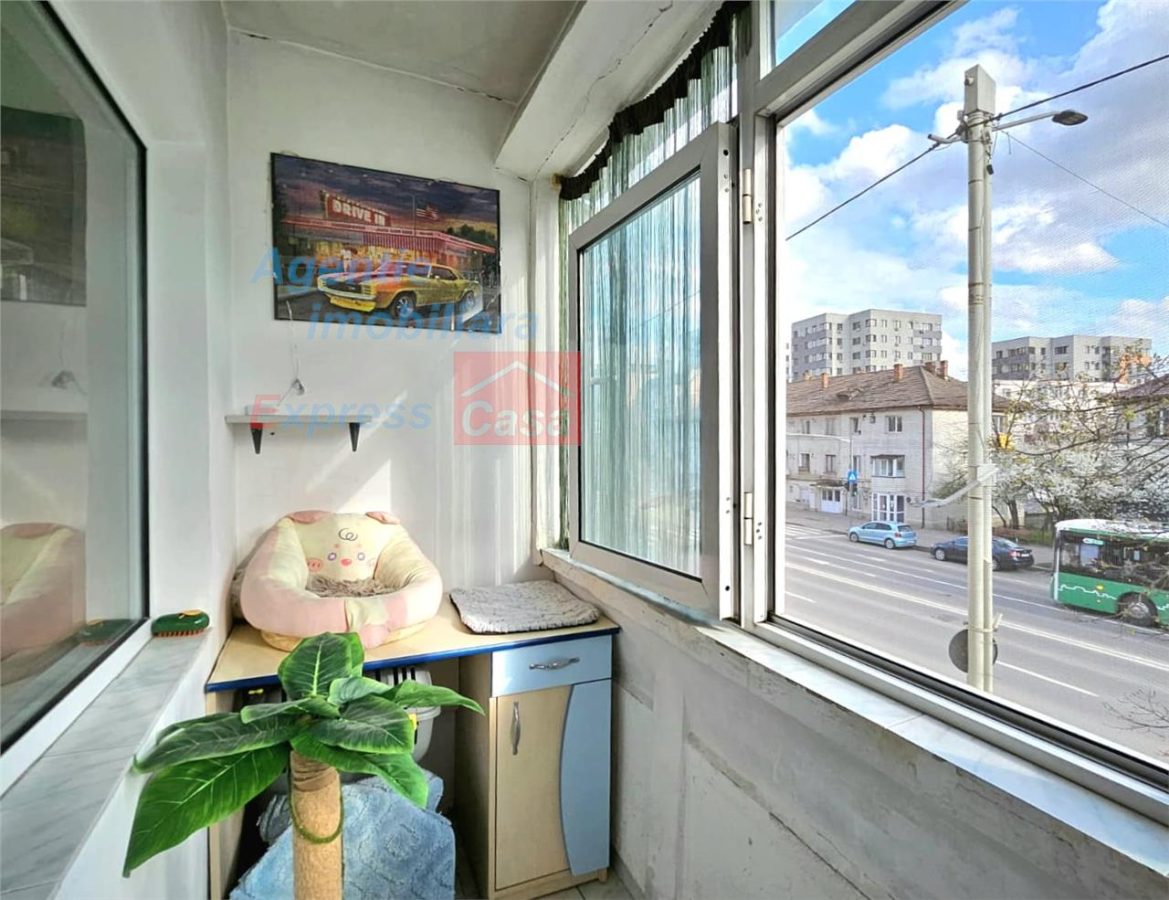 Apartament 3 camere, etaj 1, Pacurari Petru Poni - foto 15