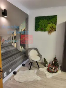 Apartament 3 camere, etaj 1, Pacurari Petru Poni - foto 3