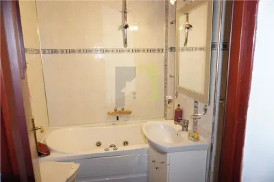 Apartament cu 2 camere si centrala termica langa Teatru - foto 9