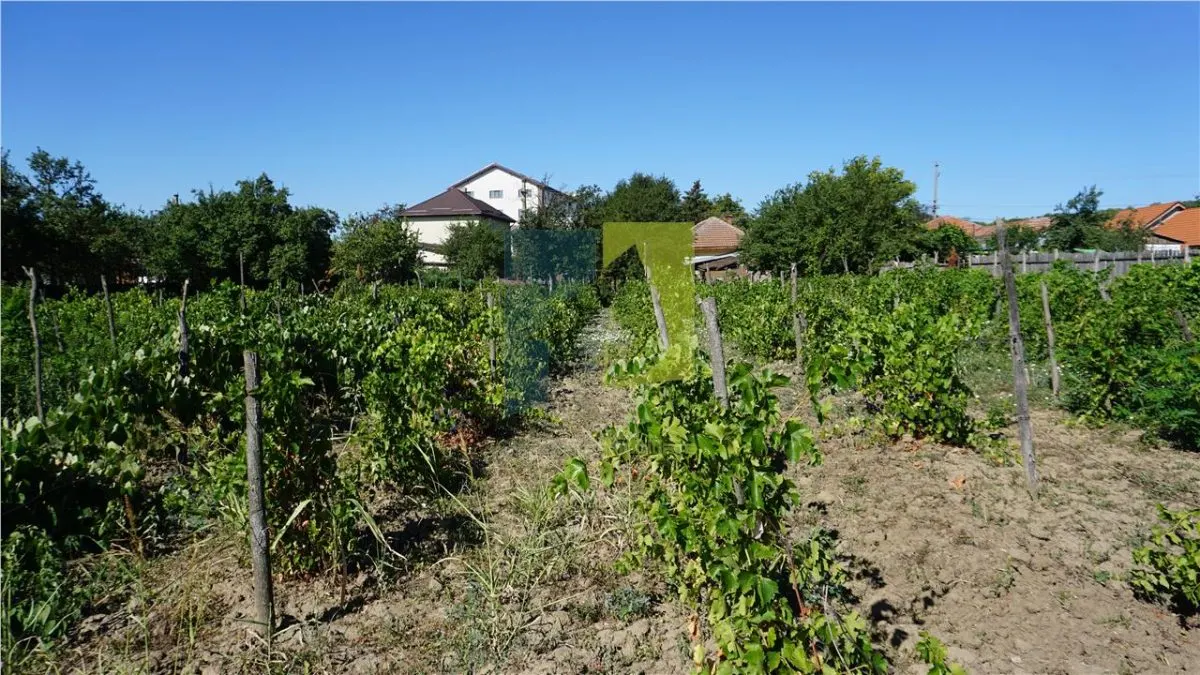 Teren stradal cu casa veche in Podari - toate utilitatile - foto 7
