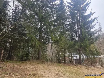 Vila multifunctionala in Predeal - oportunitate  resedinta si/sau afacere - Brasov