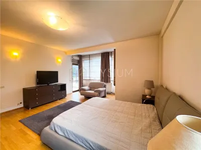 Apartament cu 4 camere de inchiriat Herastrau - foto 18