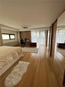 INCHIRIERE CASA VILA LUX individuala 6 camere EROU IANCU NICOLAE JOLIE VILLE BANEASA - foto 7