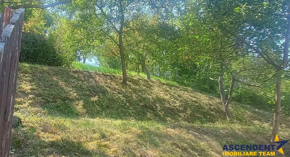Sacele, Brasov - foto 1