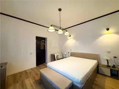 Vila de inchiriat Dorobanti - foto 19