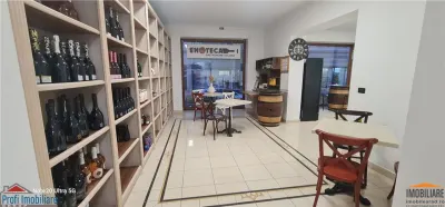 Spatiu comercial 147mp, F.S.12ml, zona Teatru, renovat - foto 2