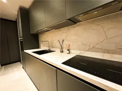 Apartament 3 camere de inchiriat One Verdi Park - foto 11