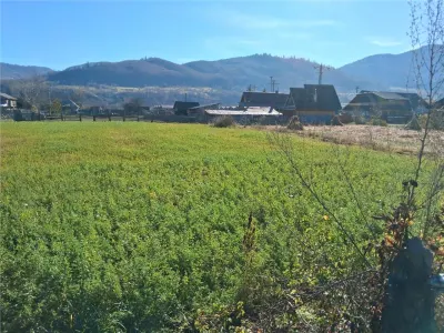 Teren intravilan Stejaru, plat, pretabil constructie, 1700mp - Stejaru (Pangarati)