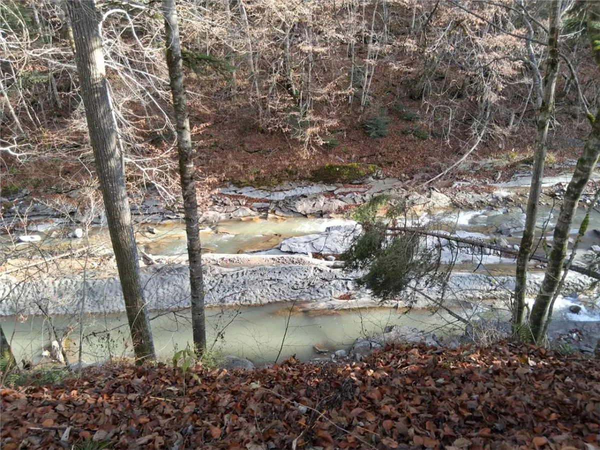 Vand teren in Brates, Neamt, cu iesire la raul Tarcau - foto 1