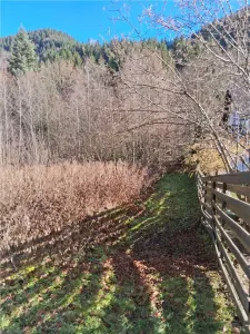 Vand teren in Brates, Neamt, cu iesire la raul Tarcau - foto 2
