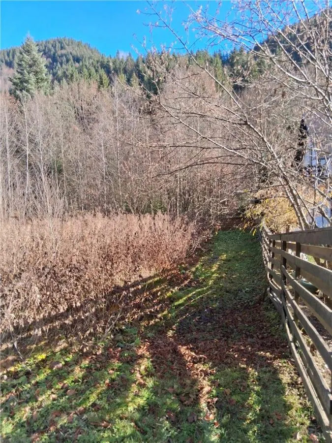 Vand teren in Brates, Neamt, cu iesire la raul Tarcau - foto 2