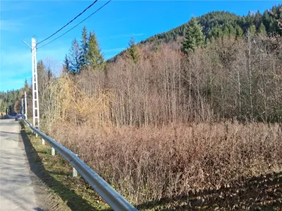 Vand teren in Brates, Neamt, cu iesire la raul Tarcau - foto 5
