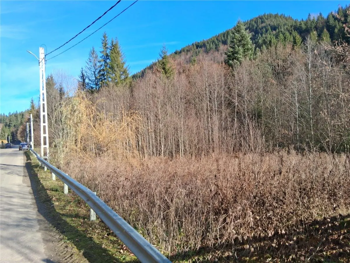 Vand teren in Brates, Neamt, cu iesire la raul Tarcau - foto 5