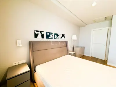 Apartament cu 5 camere de inchiriat Floreasca Rahmaninov - foto 19