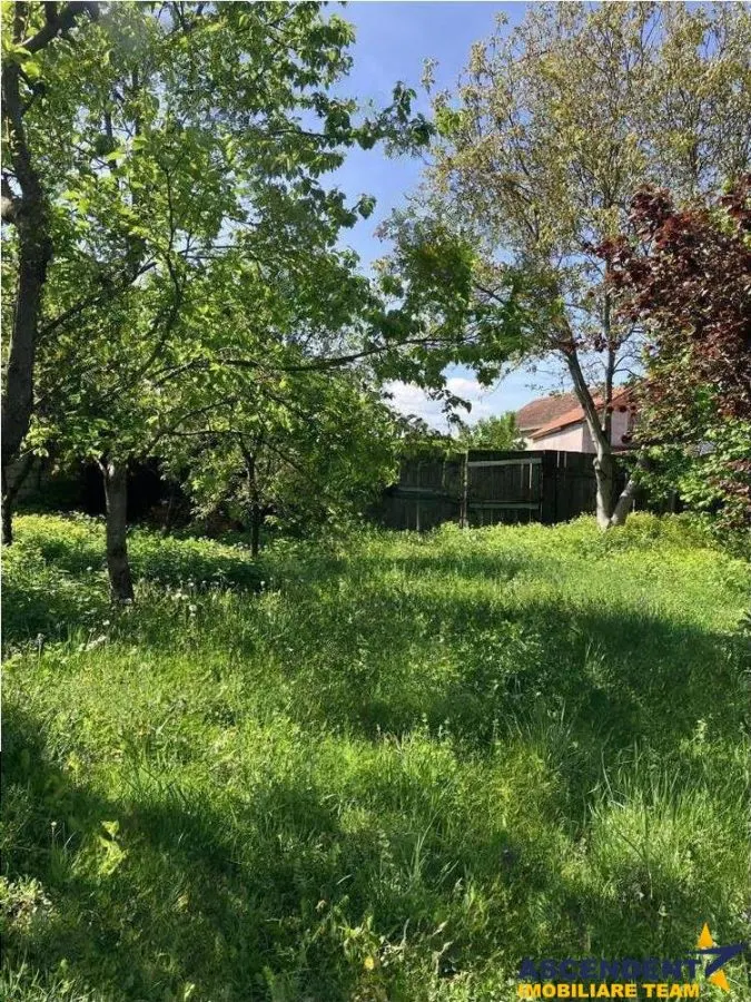 Casa saseasca cu 2.000mp teren, Bod, Brasov - foto 1