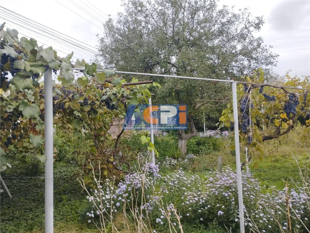 Casa Garleni - foto 13