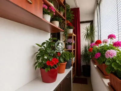 Apartament 2 camere decomandat Valea Lupului - Iasi