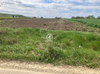 Teren de vanzare Dumesti - foto 3