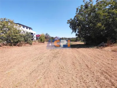 VANZARE TEREN INTRAVILAN  MAGURELE  2530 mp zona CODRULUI - foto 2